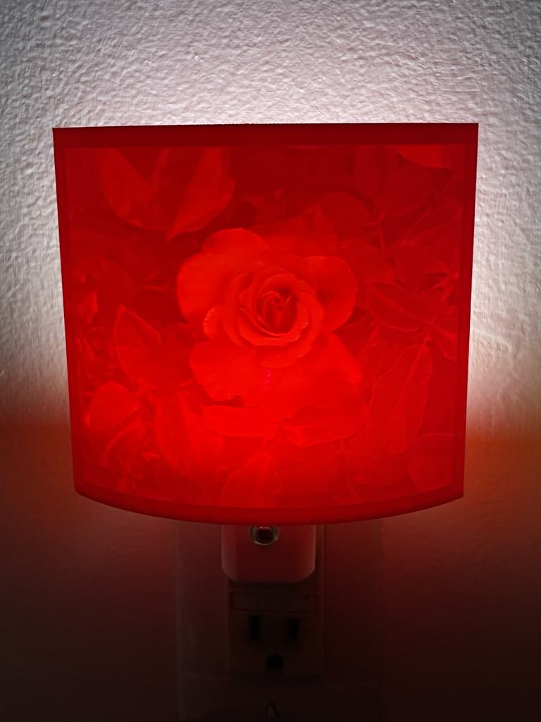 Rose (Red)