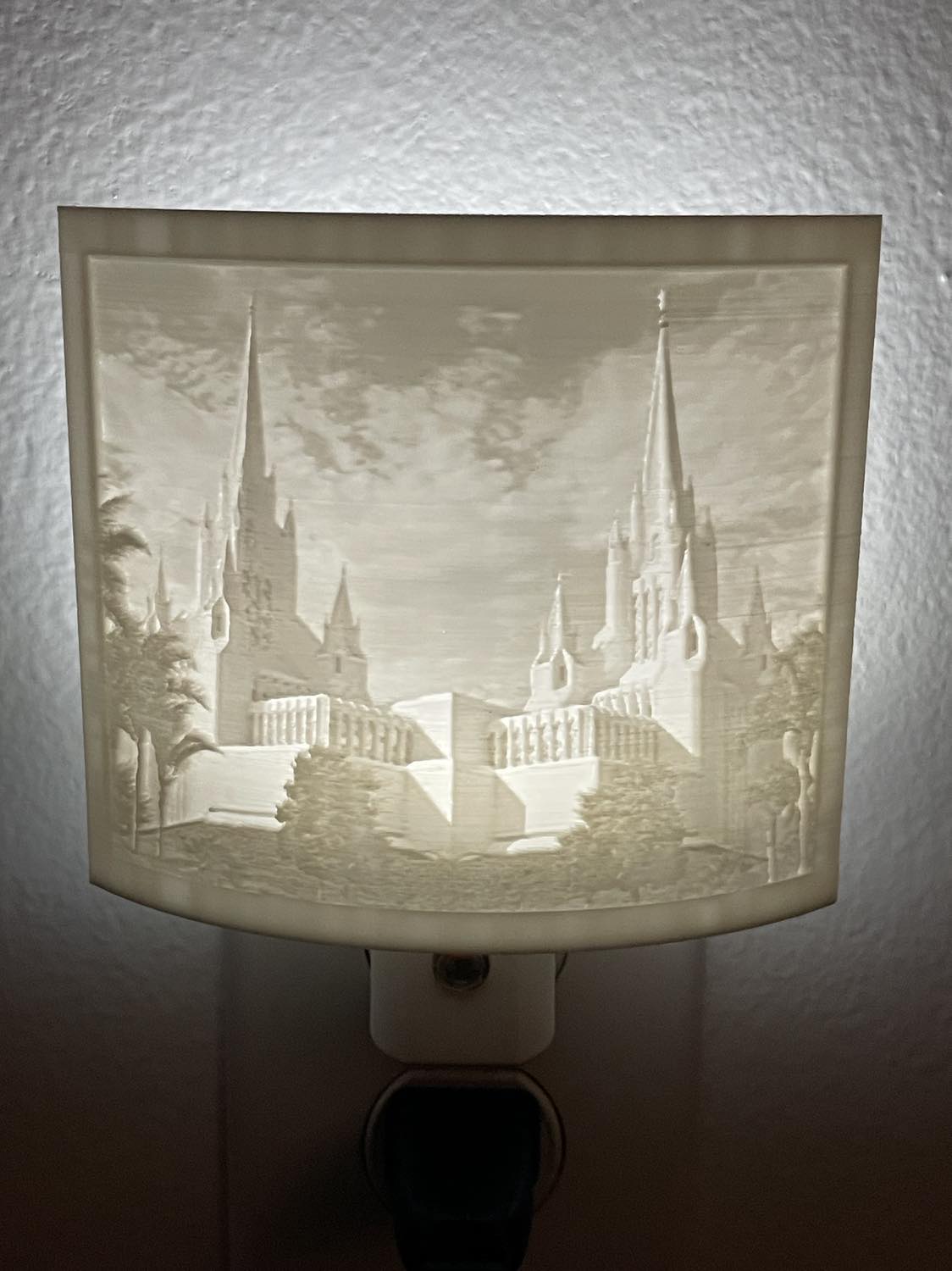 San Diego Temple Night Light