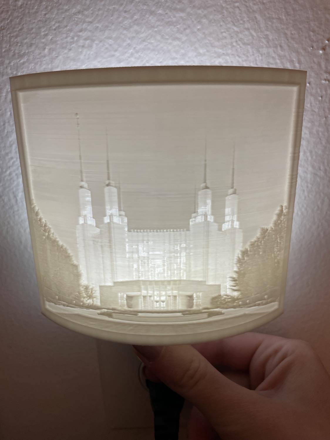 Washington D.C. Temple Night Light